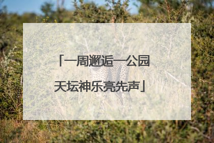一周邂逅一公园 天坛神乐亮先声