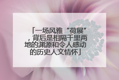 一场风雅“荷展”，背后是相隔千里两地的渊源和令人感动的历史人文情怀