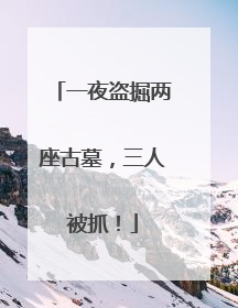 一夜盗掘两座古墓，三人被抓！