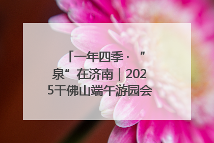 一年四季 · “泉”在济南｜2025千佛山端午游园会邀您共享亲子时光