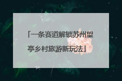 一条赛道解锁苏州望亭乡村旅游新玩法