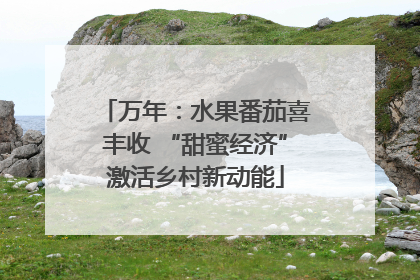 万年：水果番茄喜丰收 “甜蜜经济”激活乡村新动能