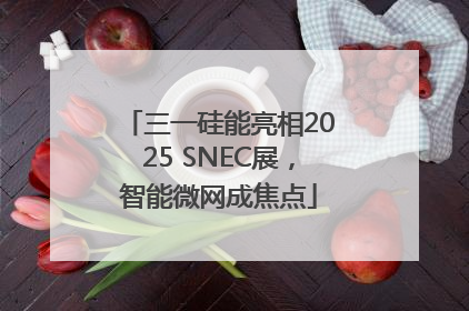 三一硅能亮相2025 SNEC展，智能微网成焦点