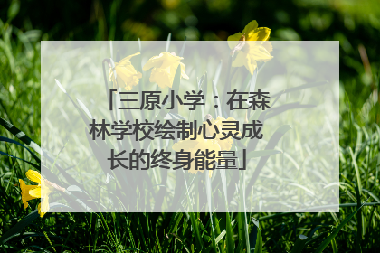 三原小学：在森林学校绘制心灵成长的终身能量