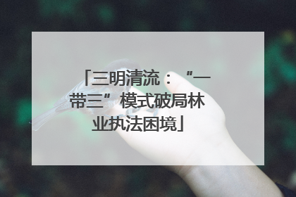 三明清流：“一带三”模式破局林业执法困境