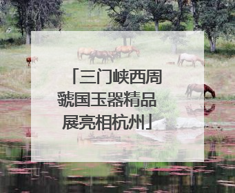 三门峡西周虢国玉器精品展亮相杭州
