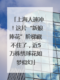 上海人速冲！这片“新娘捧花”阶梯藏不住了，近5万株绣球花如梦似幻