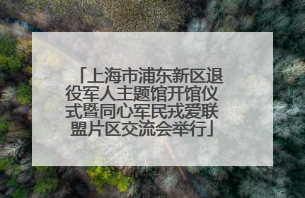 上海市浦东新区退役军人主题馆开馆仪式暨同心军民戎爱联盟片区交流会举行