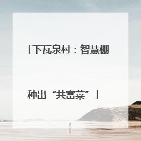 下瓦泉村：智慧棚种出“共富菜”