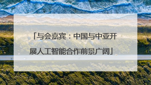 与会嘉宾：中国与中亚开展人工智能合作前景广阔
