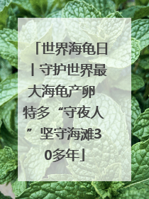 世界海龟日丨守护世界最大海龟产卵 特多“守夜人”坚守海滩30多年