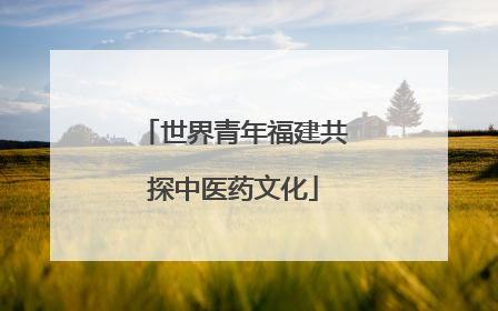 世界青年福建共探中医药文化