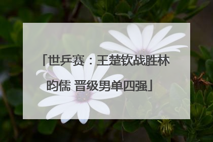 世乒赛：王楚钦战胜林昀儒 晋级男单四强