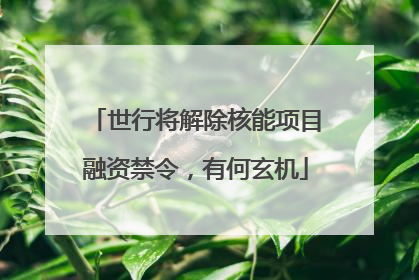 世行将解除核能项目融资禁令，有何玄机
