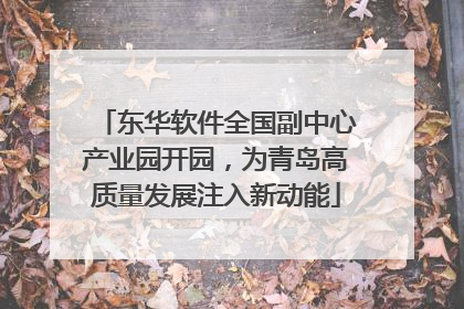 东华软件全国副中心产业园开园，为青岛高质量发展注入新动能