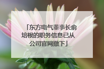 东方电气董事长俞培根的职务信息已从公司官网撤下