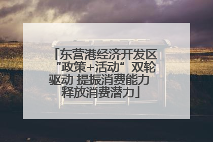 东营港经济开发区“政策+活动”双轮驱动 提振消费能力 释放消费潜力