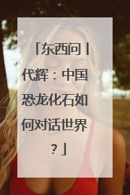 东西问丨代辉：中国恐龙化石如何对话世界？