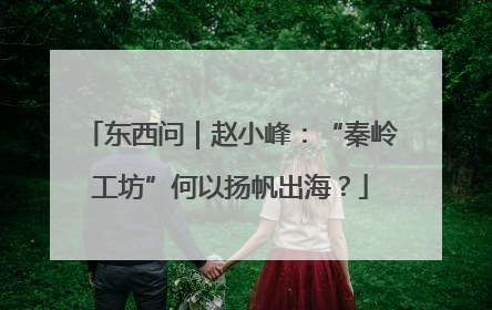 东西问｜赵小峰：“秦岭工坊”何以扬帆出海？