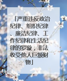 严重违反政治纪律、组织纪律、廉洁纪律、工作纪律和生活纪律的罗璇，非法收受他人巨额财物