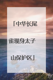 中华长尾雀现身太子山保护区