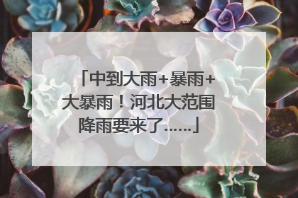 中到大雨+暴雨+大暴雨！河北大范围降雨要来了……