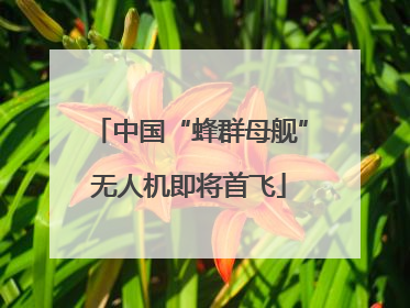 中国“蜂群母舰”无人机即将首飞