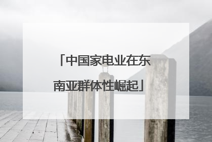 中国家电业在东南亚群体性崛起