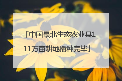 中国最北生态农业县111万亩耕地播种完毕