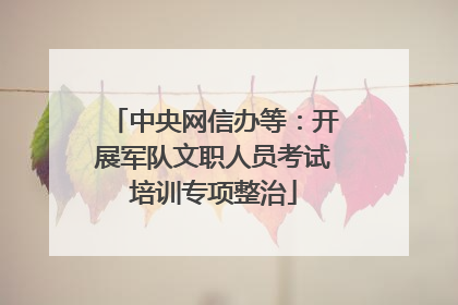 中央网信办等：开展军队文职人员考试培训专项整治