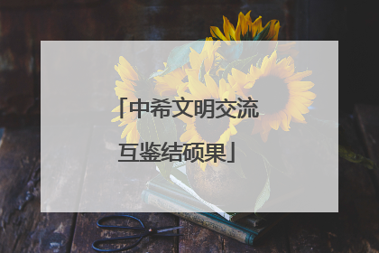 中希文明交流互鉴结硕果