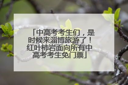 中高考考生们，是时候来淄博旅游了！红叶柿岩面向所有中高考考生免门票