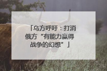 乌方呼吁：打消俄方“有能力赢得战争的幻想”