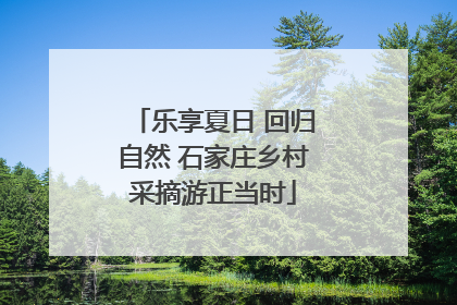 乐享夏日 回归自然 石家庄乡村采摘游正当时