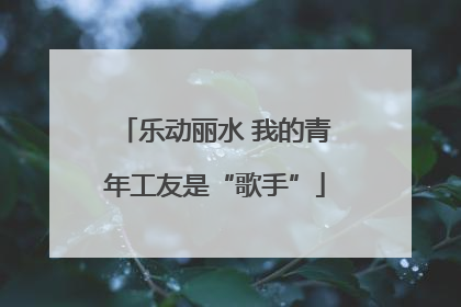 乐动丽水 我的青年工友是“歌手”