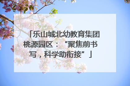 乐山城北幼教育集团桃源园区：“聚焦前书写，科学助衔接”