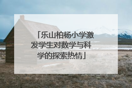 乐山柏杨小学激发学生对数学与科学的探索热情