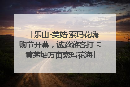 乐山-美姑·索玛花嗨购节开幕，诚邀游客打卡黄茅埂万亩索玛花海