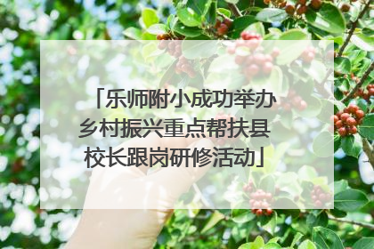 乐师附小成功举办乡村振兴重点帮扶县校长跟岗研修活动