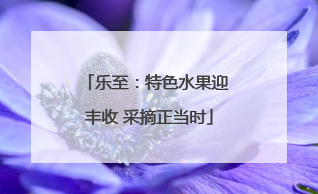 乐至：特色水果迎丰收 采摘正当时