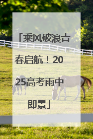 乘风破浪青春启航！2025高考雨中即景