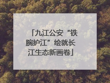 九江公安“铁腕护江”绘就长江生态新画卷