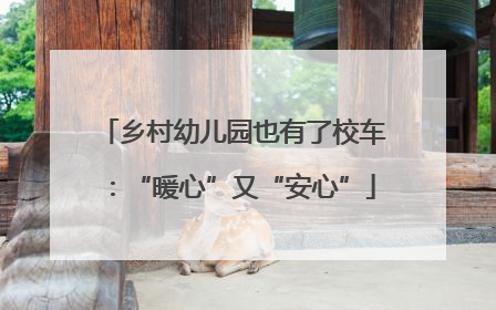 乡村幼儿园也有了校车：“暖心”又“安心”