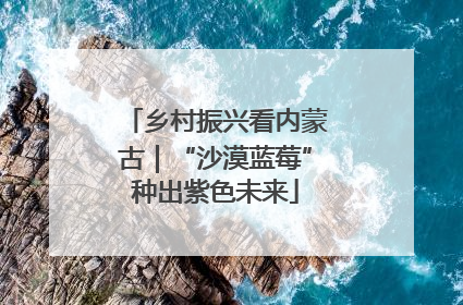 乡村振兴看内蒙古｜“沙漠蓝莓”种出紫色未来