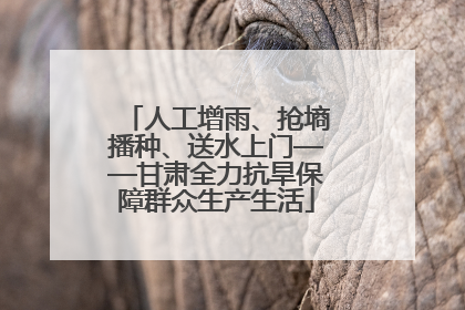 人工增雨、抢墒播种、送水上门——甘肃全力抗旱保障群众生产生活