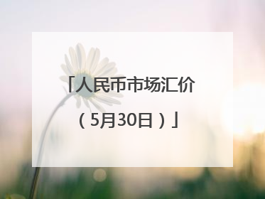 人民币市场汇价（5月30日）
