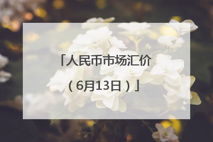 人民币市场汇价（6月13日）