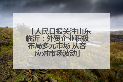 人民日报关注山东临沂：外贸企业积极布局多元市场 从容应对市场波动
