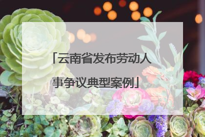 云南省发布劳动人事争议典型案例