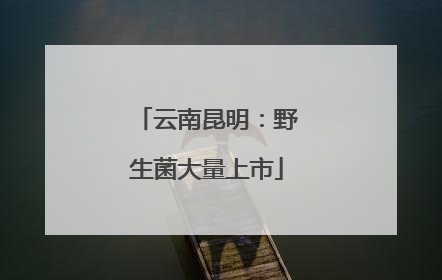 云南昆明：野生菌大量上市